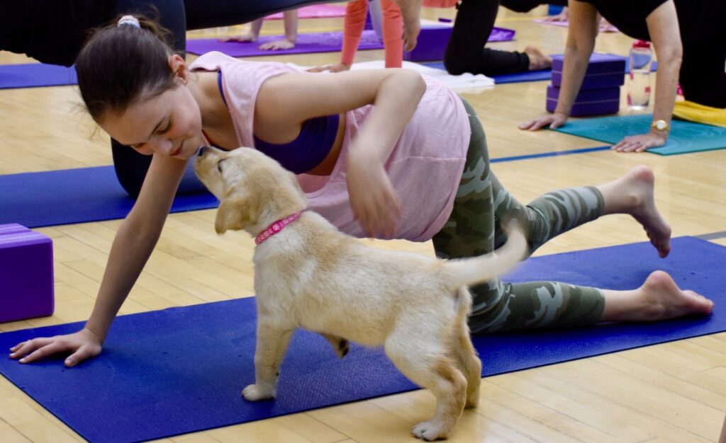 Puppy Yoga Bristol