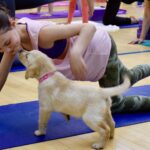 Puppy Yoga Bristol